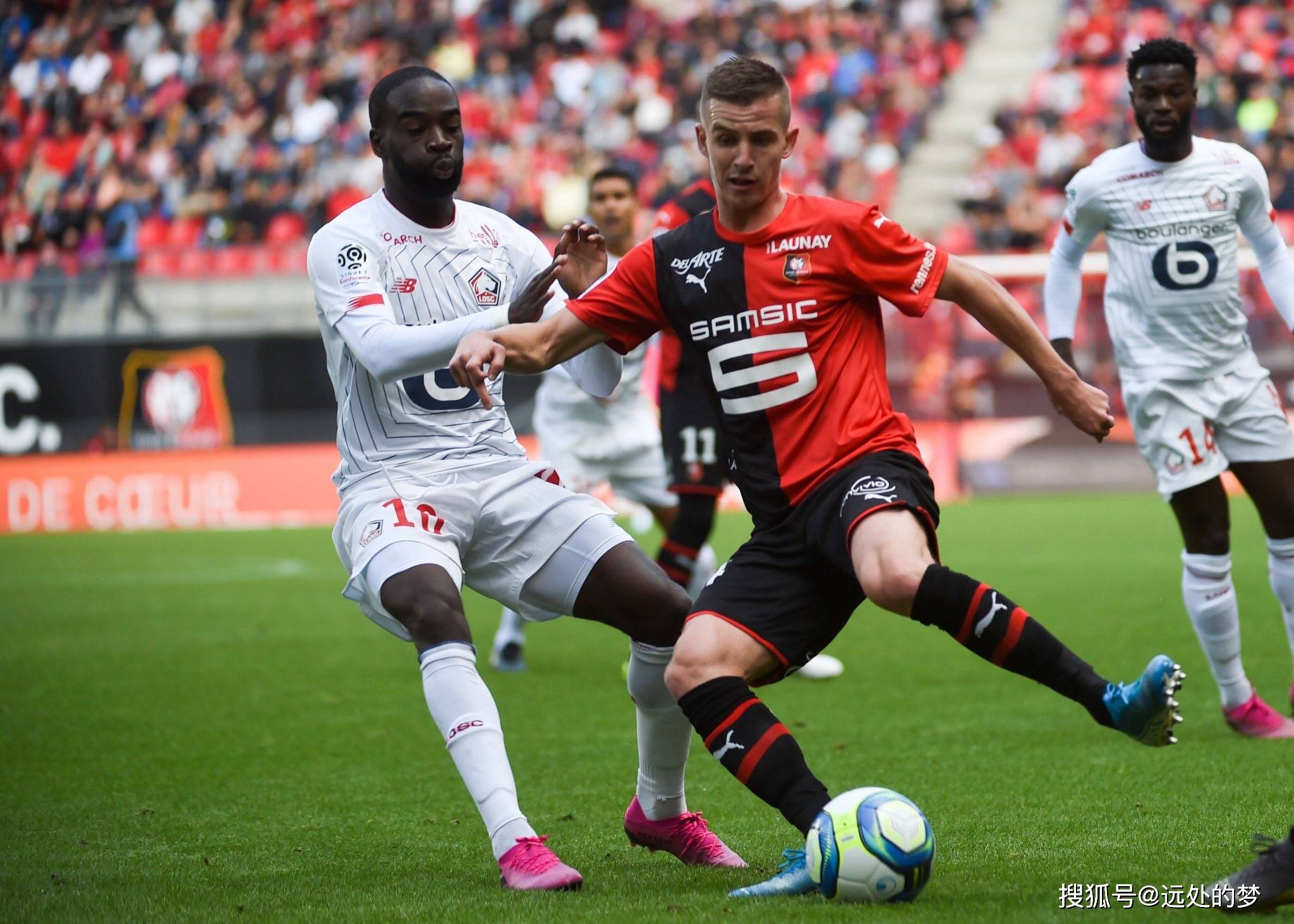 包含美国险胜波兰，贝林厄姆关键制胜的词条