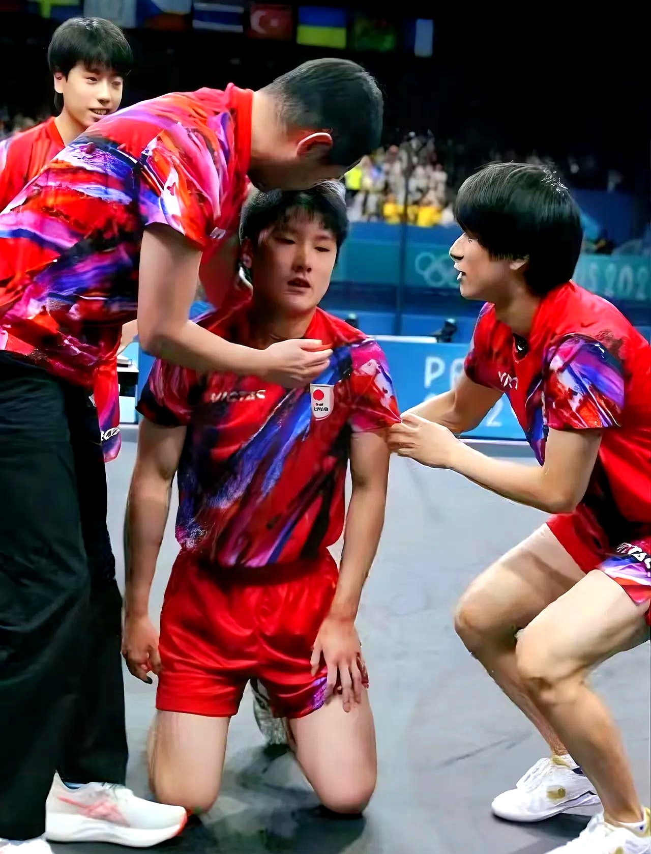 韩国队翻盘奥地利队，张本智和统治全场的简单介绍