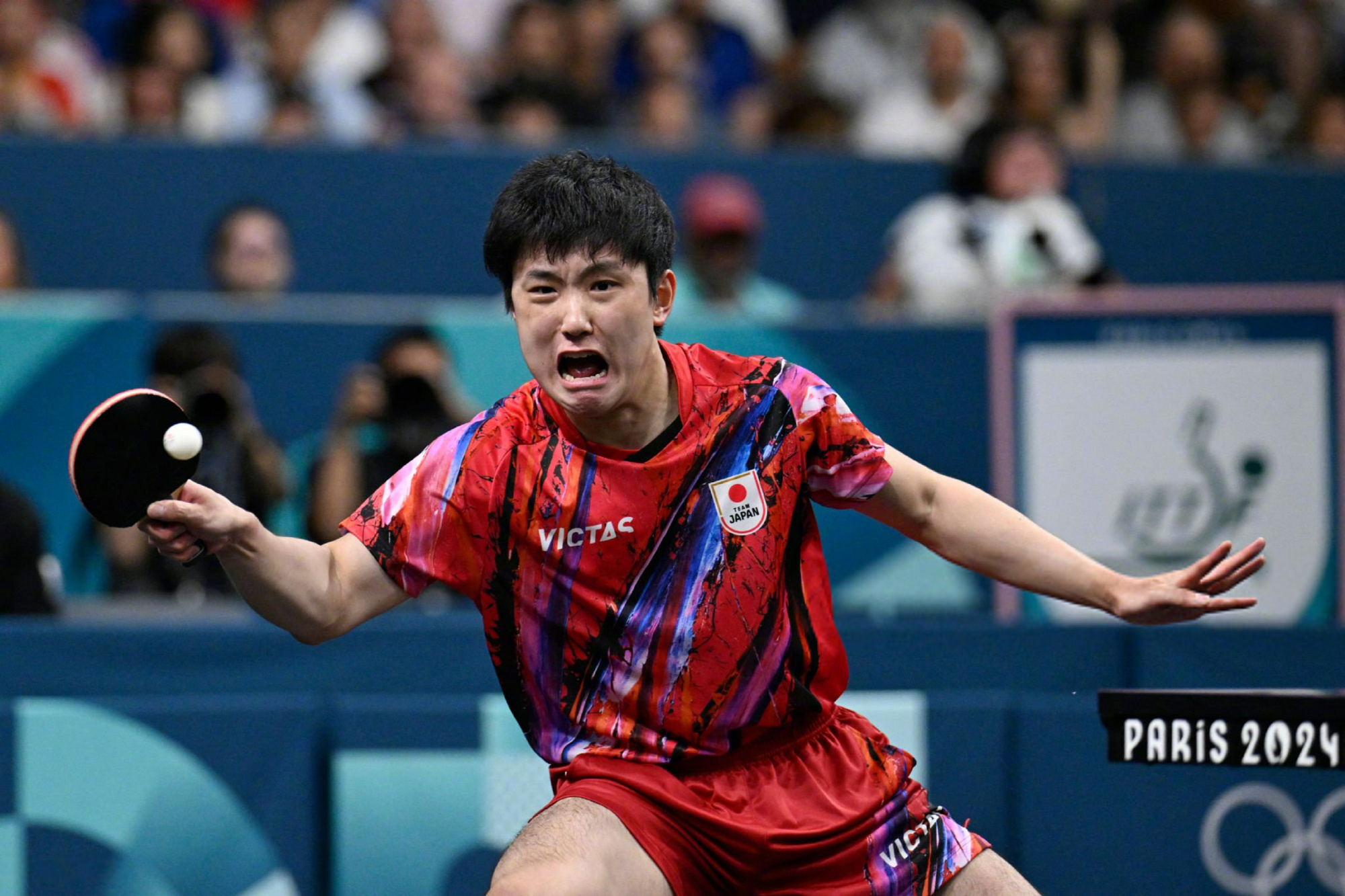 奥地利队绝杀英格兰队，张本智和高光表现