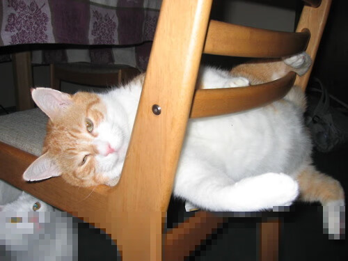 德布劳内，定义焦点之战的绿茵魔术师