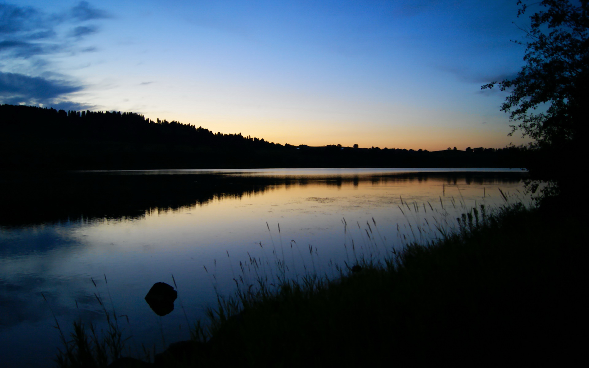 迪亚斯单骑闯关，卡塔尔战术风暴碾压勒沃库森