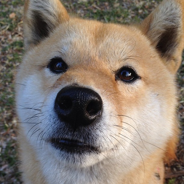 瞬间定义伟大，德布劳内的手术刀与希腊的钢铁意志