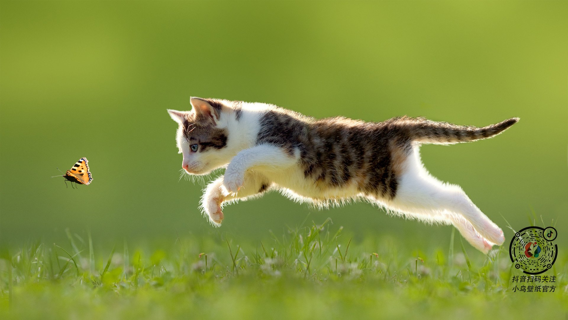 天山雪崩吞没铁锈洪流，恩比德石塔矗立，新疆淘汰活塞