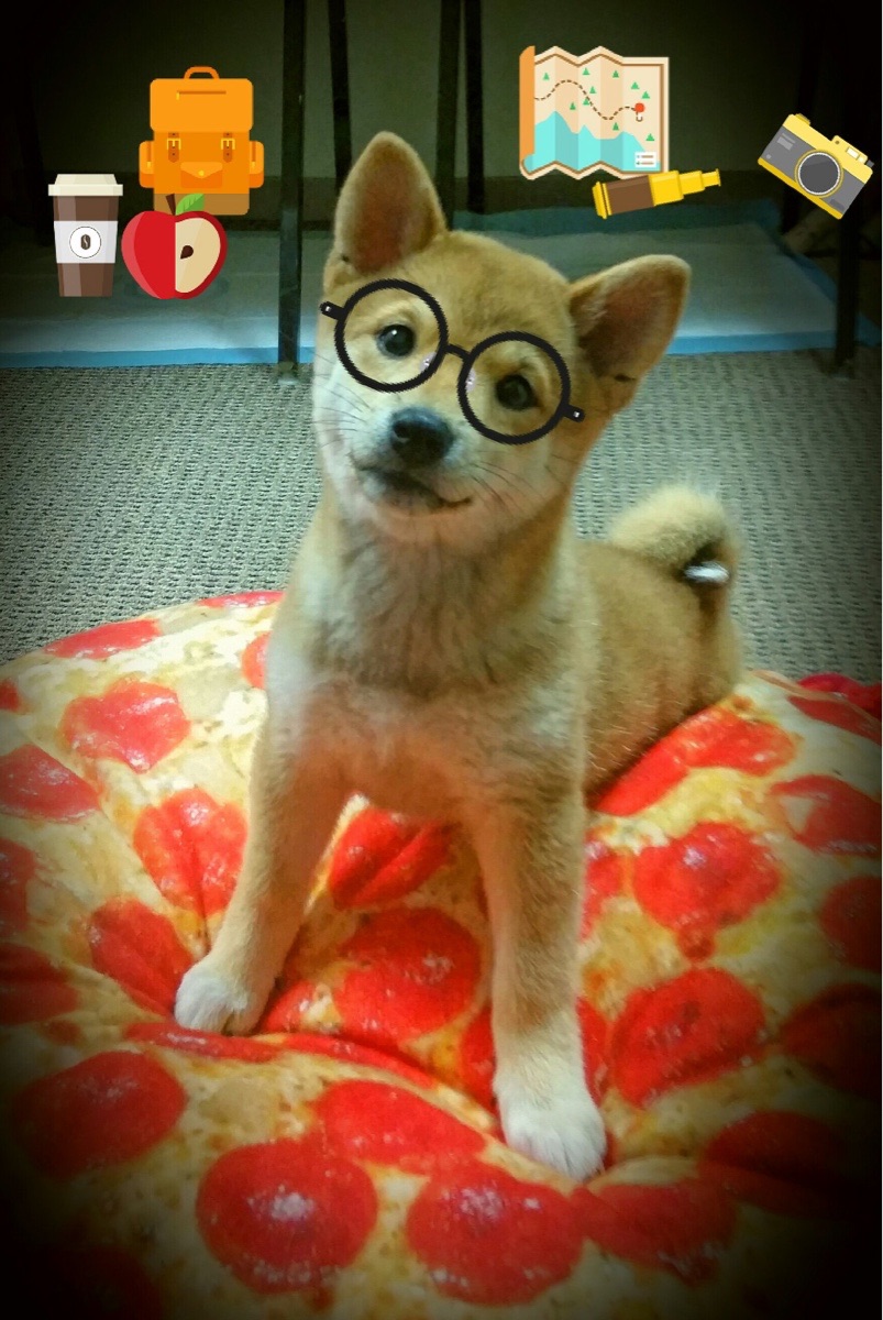 跨界奇迹，足球悍将富安健洋的NBA季后赛之夜