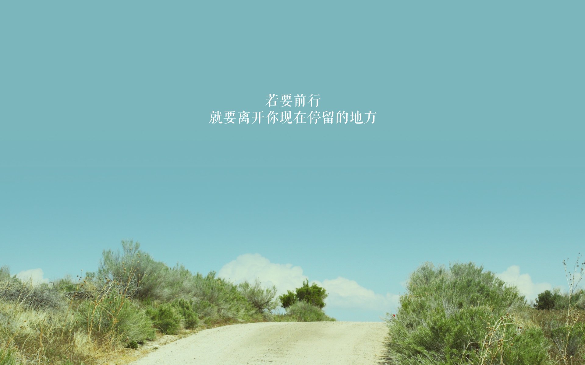 世界排名争夺战焦点战,南非球队如何撕开阿森纳与全球积分体系的一道缝隙