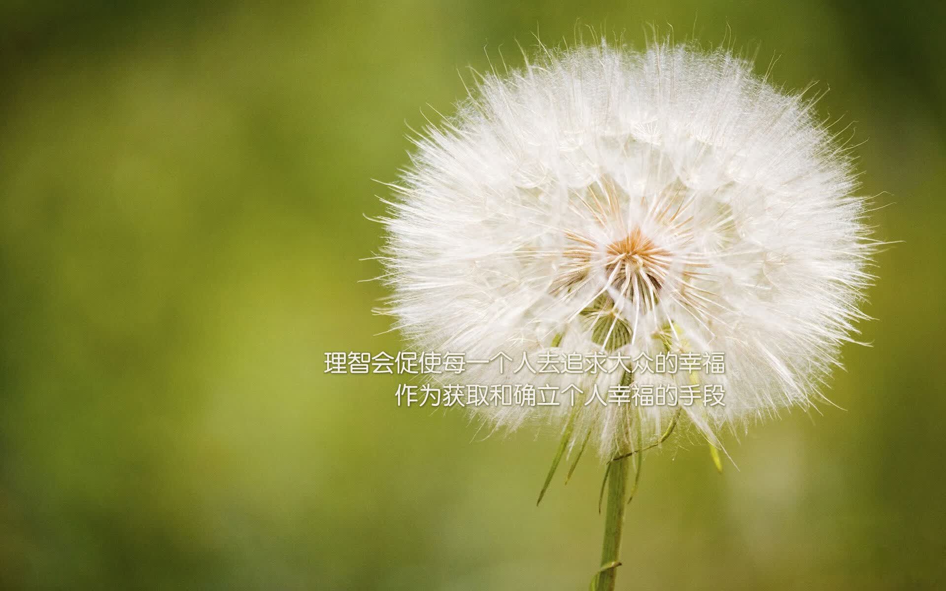 海啸席卷沙漠,当越南的金色风暴颠覆了2026世界杯的剧本